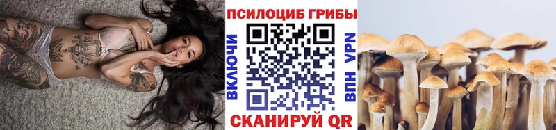 Купить закладки  Лосино-Петровский  Псилоцибиновые грибы Psilocybine cubensis 